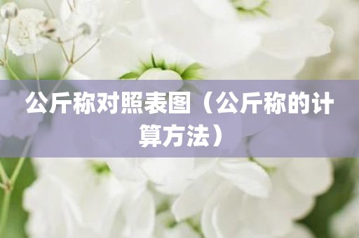 公斤称对照表图（公斤称的计算方法）