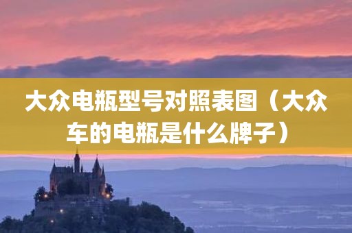 大众电瓶型号对照表图（大众车的电瓶是什么牌子）