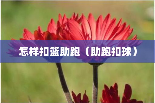 怎样扣篮助跑（助跑扣球）