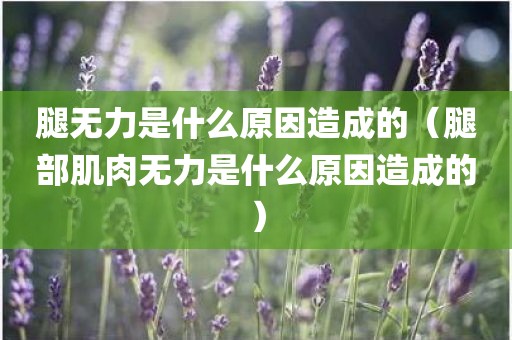 腿无力是什么原因造成的（腿部肌肉无力是什么原因造成的）