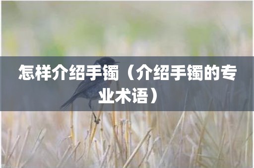 怎样介绍手镯（介绍手镯的专业术语）