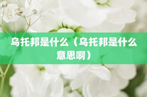 乌托邦是什么（乌托邦是什么意思啊）