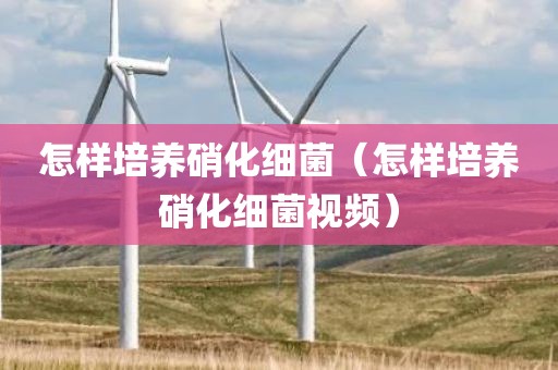 怎样培养硝化细菌（怎样培养硝化细菌视频）