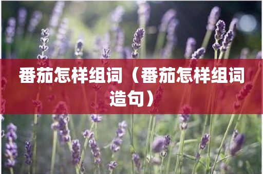 番茄怎样组词（番茄怎样组词造句）