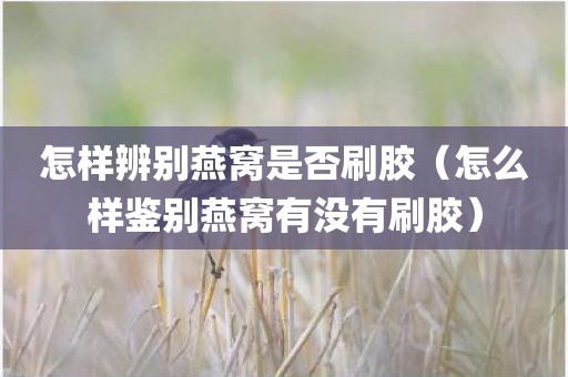怎样辨别燕窝是否刷胶（怎么样鉴别燕窝有没有刷胶）