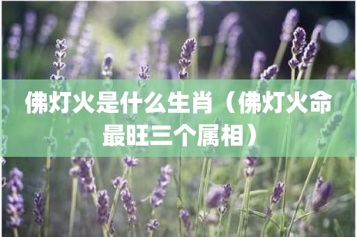 佛灯火是什么生肖（佛灯火命最旺三个属相）