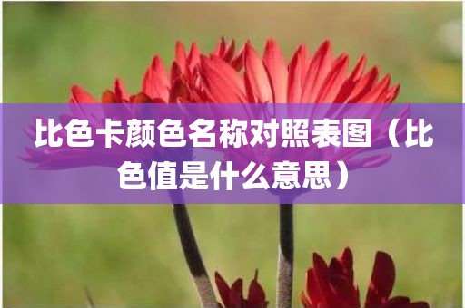 比色卡颜色名称对照表图（比色值是什么意思）