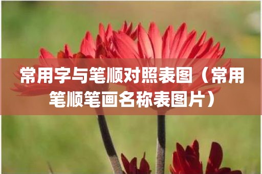 常用字与笔顺对照表图（常用笔顺笔画名称表图片）