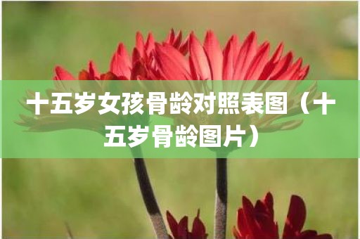 十五岁女孩骨龄对照表图（十五岁骨龄图片）