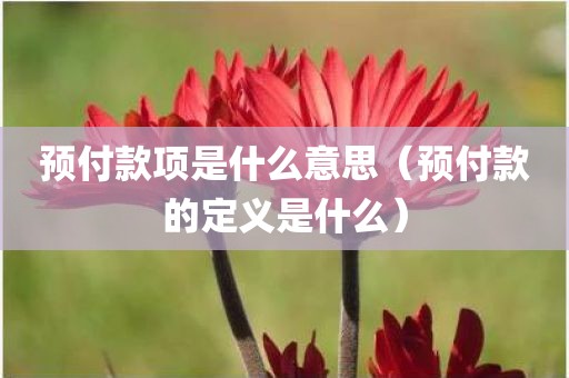 预付款项是什么意思（预付款的定义是什么）