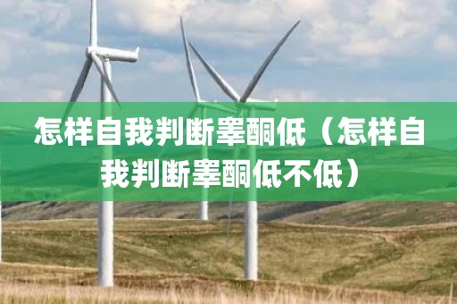 怎样自我判断睾酮低（怎样自我判断睾酮低不低）