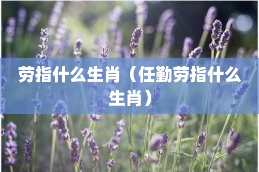 劳指什么生肖（任勤劳指什么生肖）