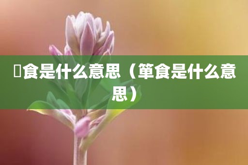 揾食是什么意思（箪食是什么意思）