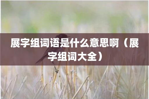 展字组词语是什么意思啊（展字组词大全）
