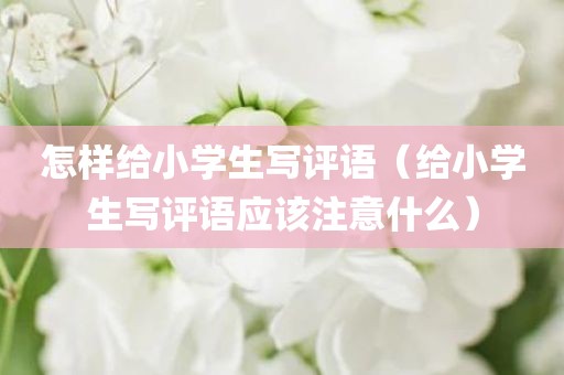 怎样给小学生写评语（给小学生写评语应该注意什么）