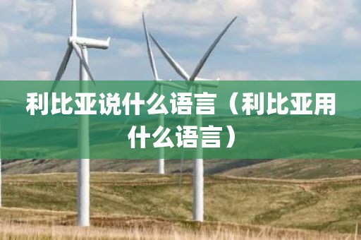 利比亚说什么语言（利比亚用什么语言）