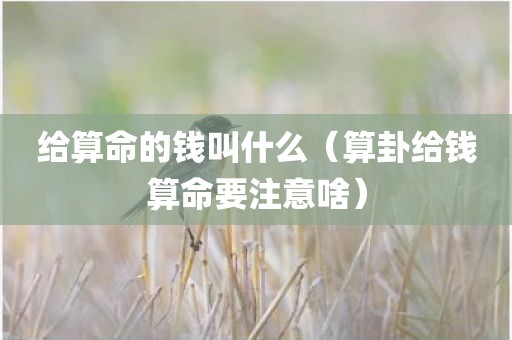 给算命的钱叫什么（算卦给钱算命要注意啥）