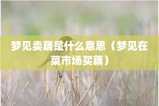 梦见卖藕是什么意思（梦见在菜市场买藕）
