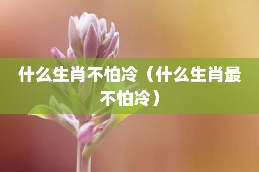 什么生肖不怕冷（什么生肖最不怕冷）
