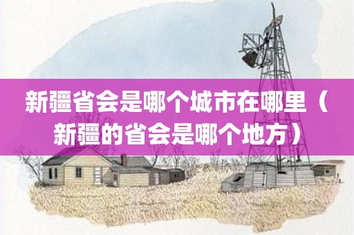 新疆省会是哪个城市在哪里(新疆的省会是哪个地方)