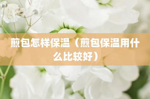 煎包怎样保温（煎包保温用什么比较好）