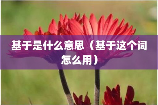 基于是什么意思（基于这个词怎么用）