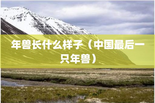 年兽长什么样子（中国最后一只年兽）