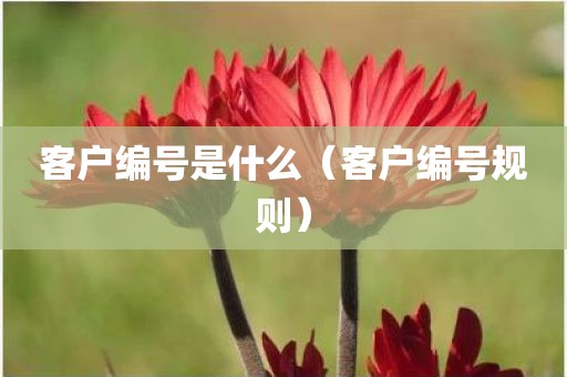 客户编号是什么（客户编号规则）