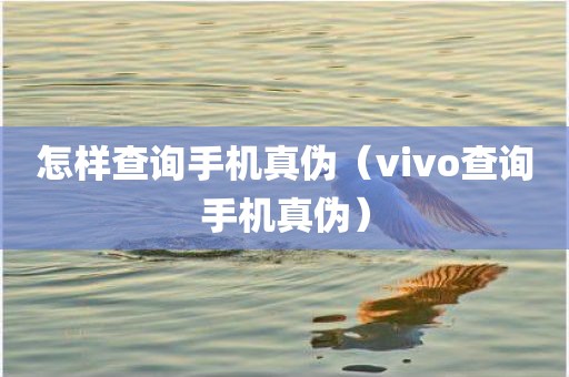 怎样查询手机真伪（vivo查询手机真伪）