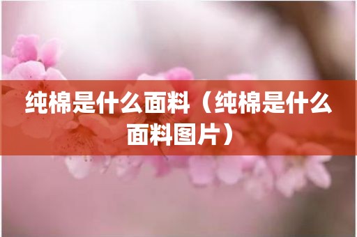 纯棉是什么面料（纯棉是什么面料图片）