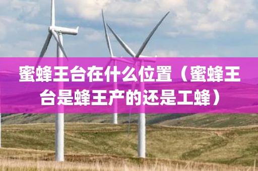 蜜蜂王台在什么位置（蜜蜂王台是蜂王产的还是工蜂）