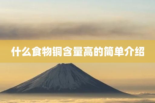 什么食物铜含量高的简单介绍