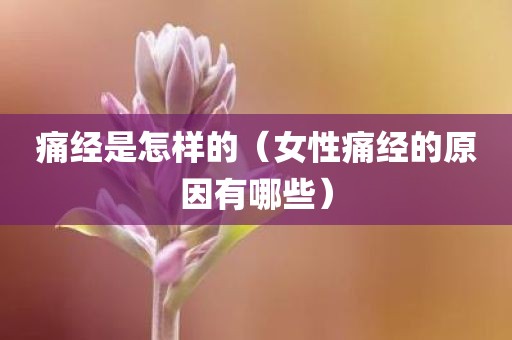 痛经是怎样的（女性痛经的原因有哪些）