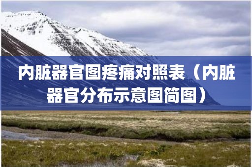内脏器官图疼痛对照表（内脏器官分布示意图简图）