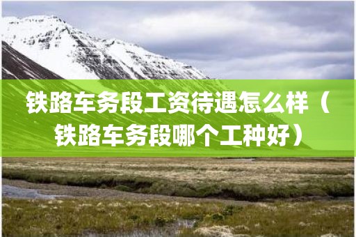 铁路车务段工资待遇怎么样（铁路车务段哪个工种好）