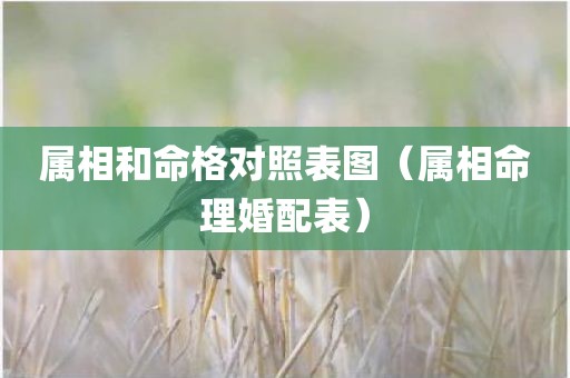 属相和命格对照表图（属相命理婚配表）