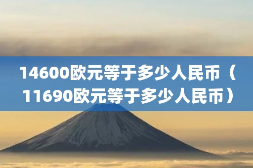 14600欧元等于多少人民币（11690欧元等于多少人民币）