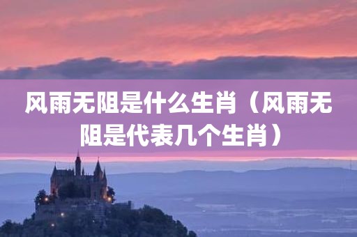 风雨无阻是什么生肖（风雨无阻是代表几个生肖）