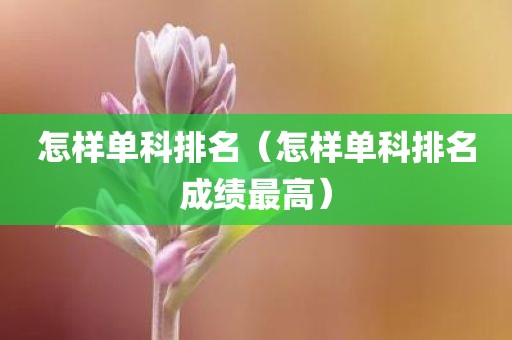 怎样单科排名（怎样单科排名成绩最高）