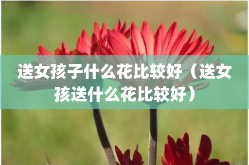 送女孩子什么花比较好(送女孩送什么花比较好)