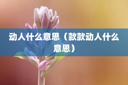 动人什么意思（款款动人什么意思）