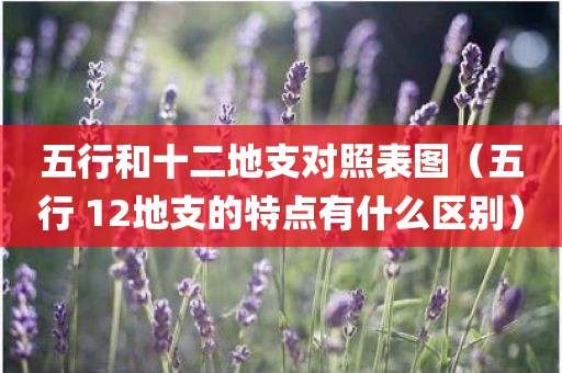 五行和十二地支对照表图（五行 12地支的特点有什么区别）