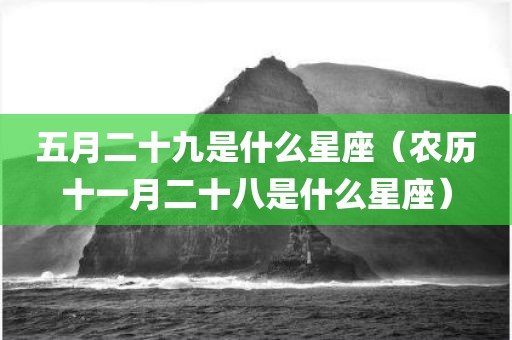五月二十九是什么星座（农历十一月二十八是什么星座）