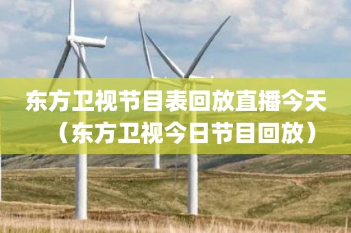 东方卫视节目表回放直播今天（东方卫视今日节目回放）