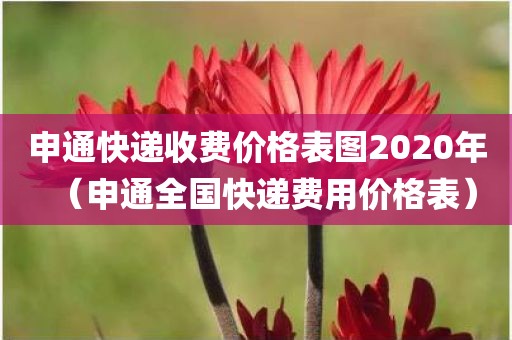 申通快递收费价格表图2020年(申通全国快递费用价格表) 申通快递收费价格表图2020年(申通全国快递费用价格表)