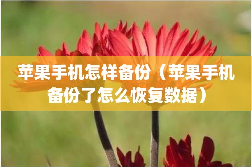 苹果手机怎样备份（苹果手机备份了怎么恢复数据）