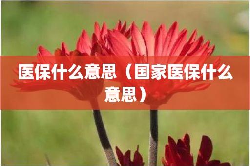 医保什么意思（国家医保什么意思）