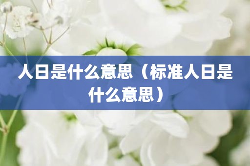 人日是什么意思（标准人日是什么意思）