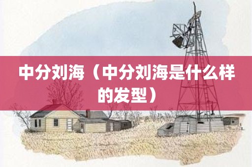 中分刘海(中分刘海是什么样的发型)