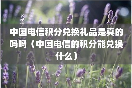 中国电信积分兑换礼品是真的吗吗(中国电信的积分能兑换什么)